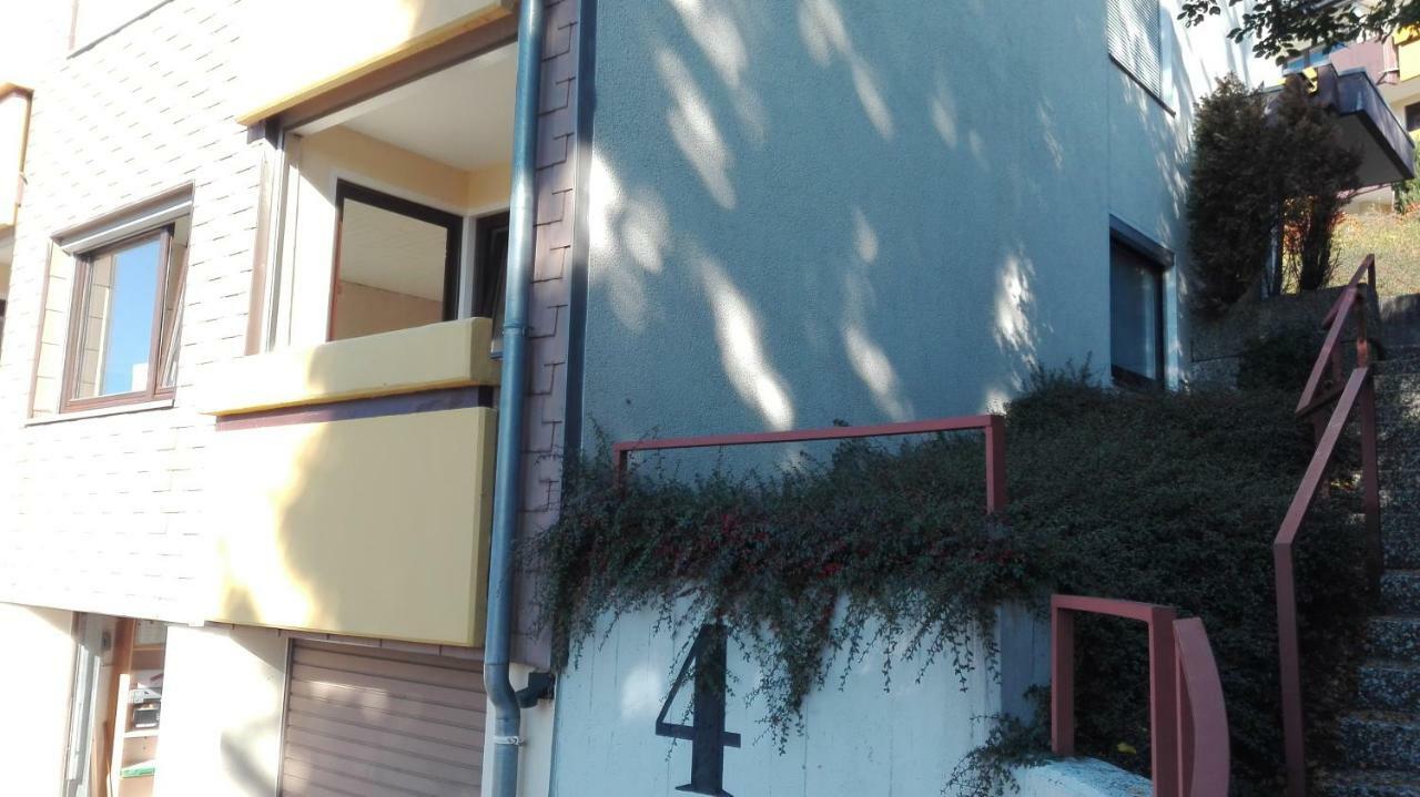 Familien Ferienwohnung Harzer Schoellchen Sankt Andreasberg Εξωτερικό φωτογραφία