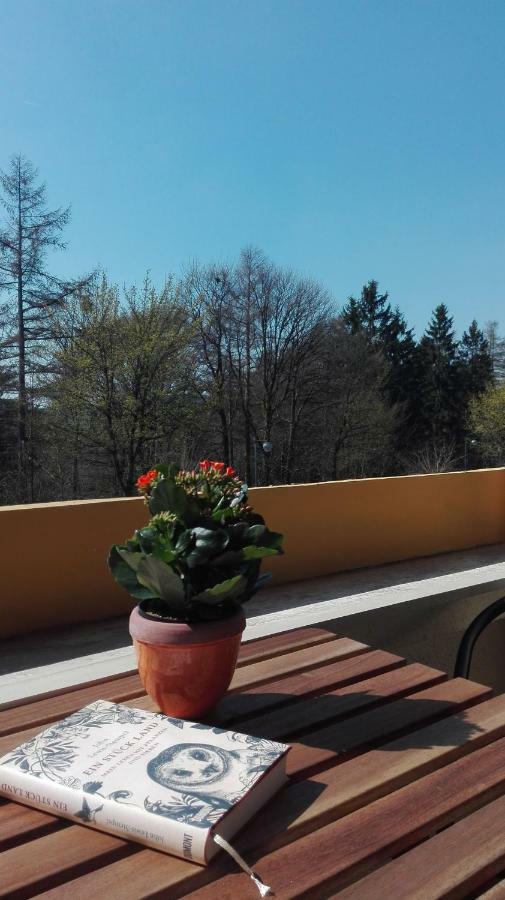 Familien Ferienwohnung Harzer Schoellchen Sankt Andreasberg Εξωτερικό φωτογραφία